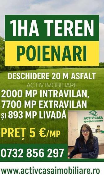 DE VANZARE 1 HA ,teren zona Poienari,Neamt