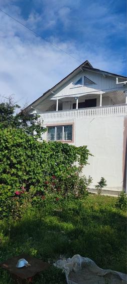 Casa renovata + livada de pruni si vie | Dogari, Ciomagesti, Arges - 1