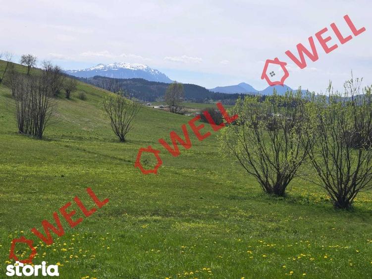 De vanzare teren extravilan in Sarama?! - 6