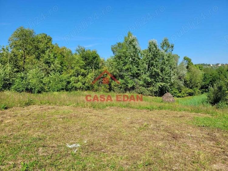 Teren intravilan in Poiana Campina 4285 mp parcelabil 11,6e - 14