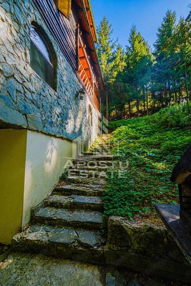 Pensiune | Casa de vacanta | 6 camere | 150mp utili | Statiunea Rausor - 9