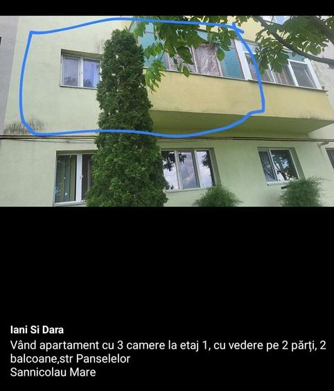 Apartament de vanzare 3 camere sannicolau mare ,etaj 1 , strada panselelor nr1 - 1