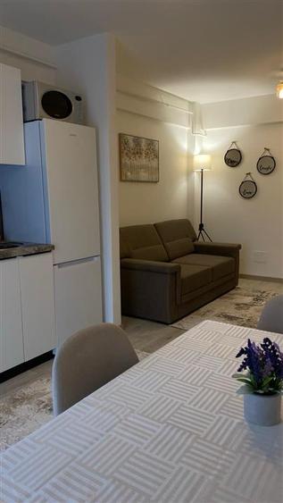 Inchiriere ap. 2 camere, open-space, Bucium-Visan, prima inchiriere - 2