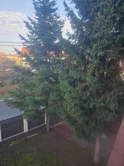 Casa de vanzare |Otopeni | Central | - 14