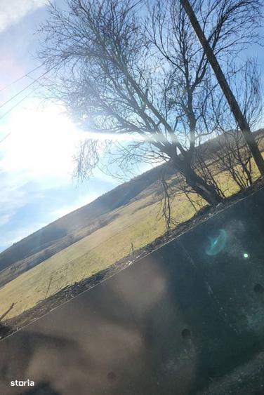 Teren intravilan, 5100 mp, toate utilitatile trase la parcela, Mera - 2