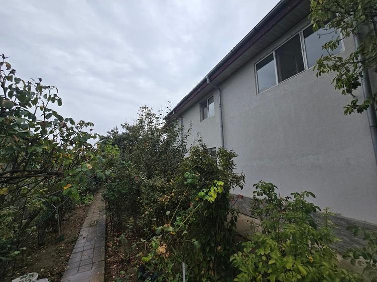 Magurele/Darasti-Ilfov/Vila individula cu crama,garaj,foisor,livada si solar - 6