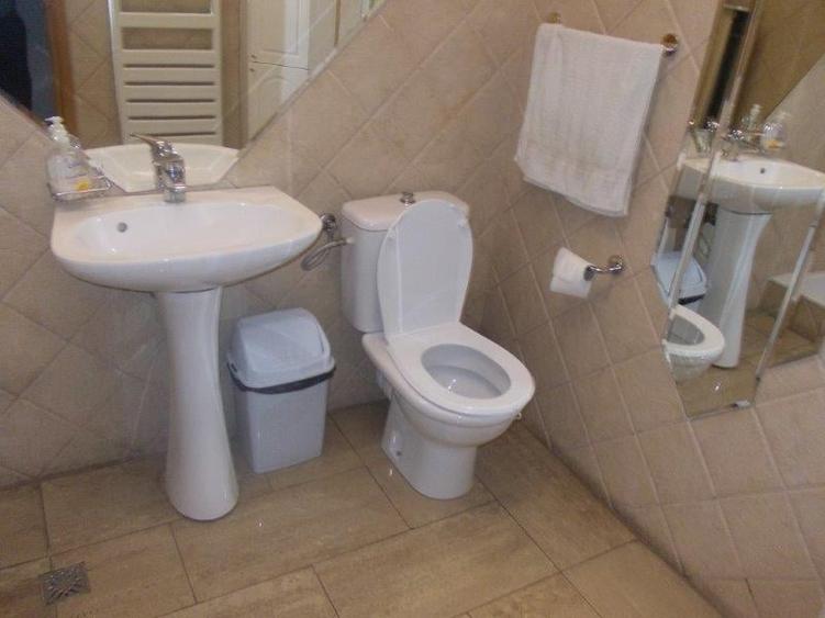 Vanzare Vila pentru birouri - 7