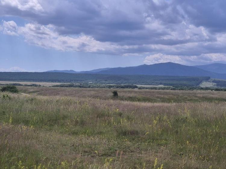 Teren agricol extravilan de 11500 mp, în Cristian