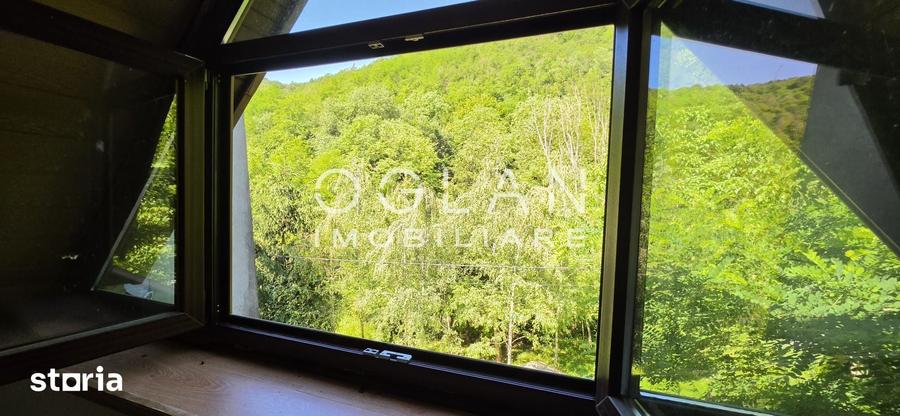 Casă cu 4 camere cu Teren 1600 Mp în Rapoltu Mare