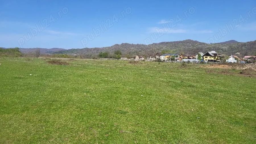 Teren de 7500 mp, în Voila
