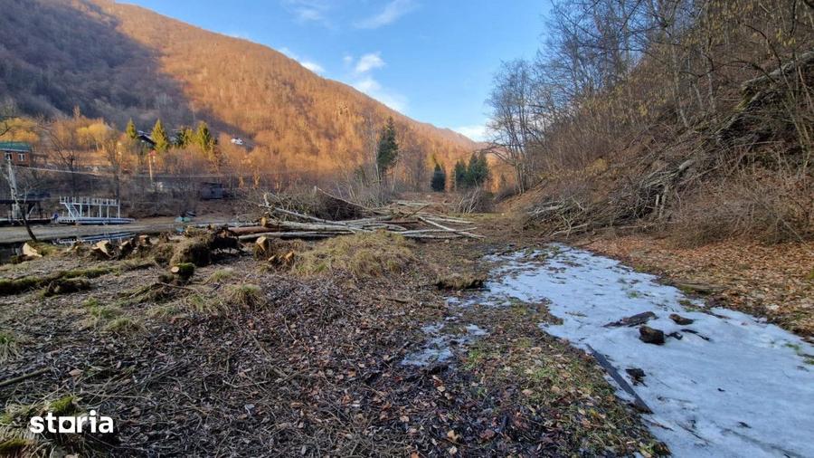 Teren Intravilan de Vanzare 3279 MP Coada Lacului Tarnita - 2