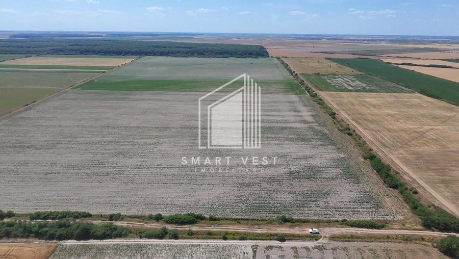 Teren agricol extravilan de 96500 mp, în Ardud