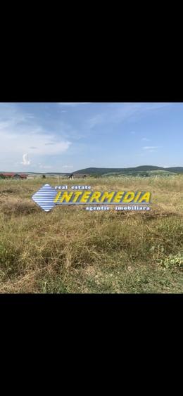 Teren intravilan de vanzare in Alba Iulia in suprafata de 500 mp - 1