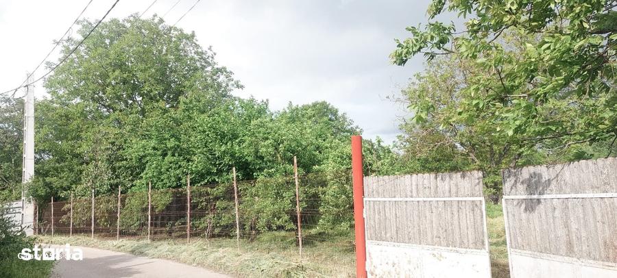 Teren de 1460 mp, în Dascălu