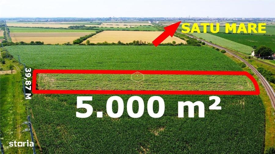 Teren extravilan - 5.000 m2 in Botiz | 3 km de Satu Mare - 5