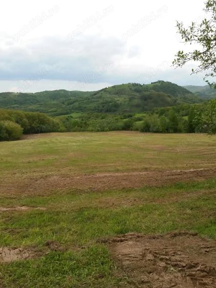 Teren de 20000 mp, în Rădulești
