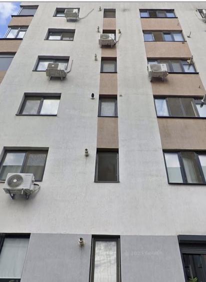 Brancusi Drumul Taberei - 5