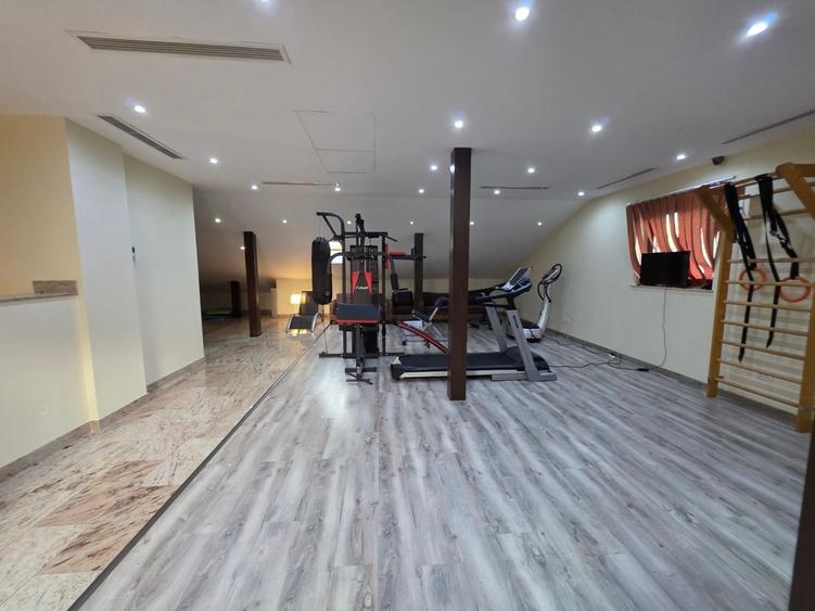 Timpuri Noi, 10 minute metrou, pe Cuza Voda, vila exclusivista P+1+M, lux, - 45