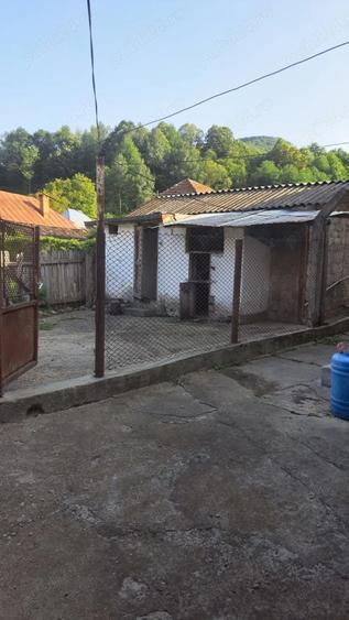 Casa de vanzare Loc. Seaca Rm. Valcea - 10