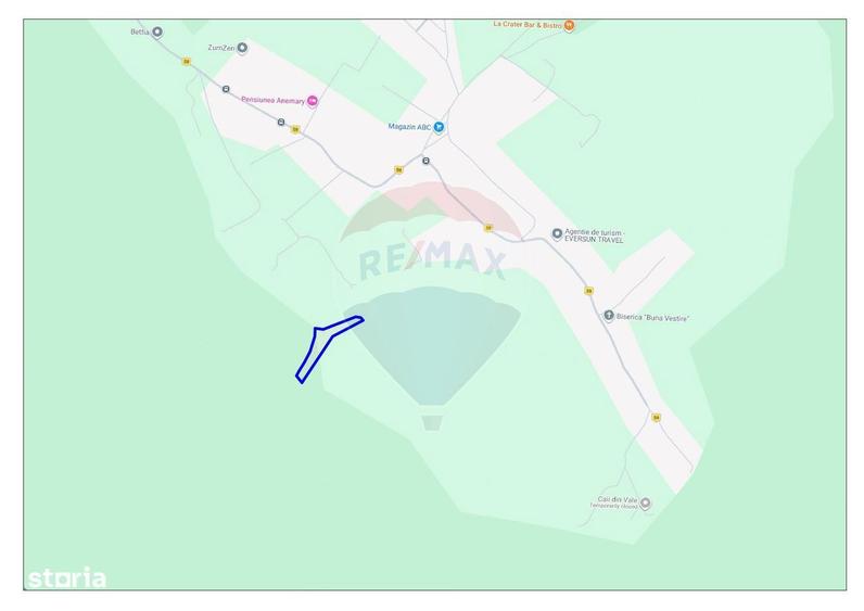 Teren intravilan, 9465 mp, Betfia, langa padure, de vanzare - 1