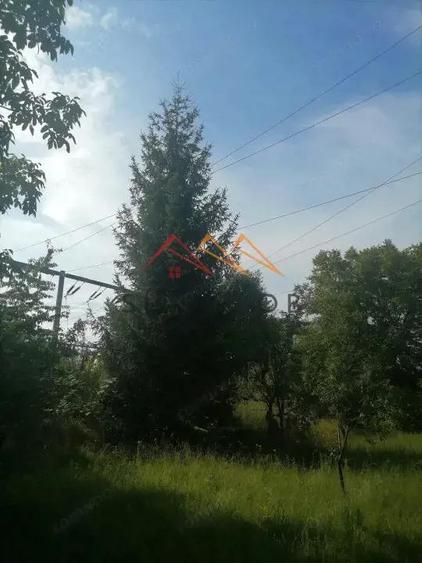 Teren intravilan Municipiul Campina, 1900 mp, investitie - 4