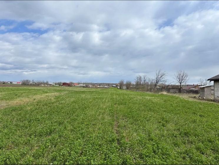 Teren Intravilan Corod jud. Galati - 61 ari - 5