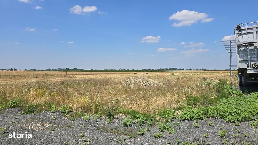 Teren intravilan 564 mp Zimandcuz - 3