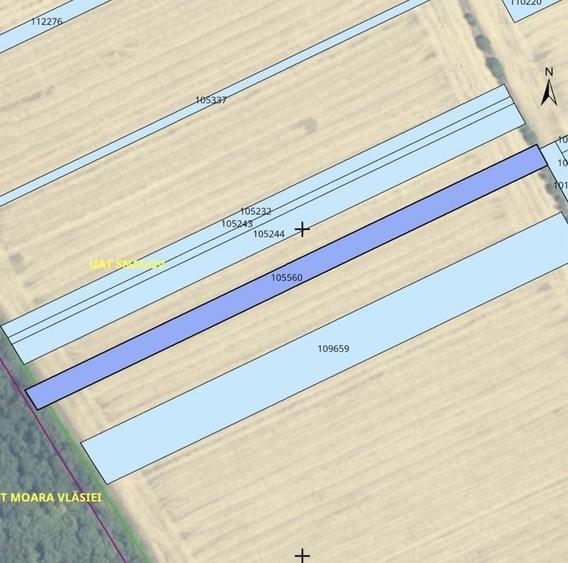 teren intravilan 4950 mp, com Snagov-Caciulati - 1