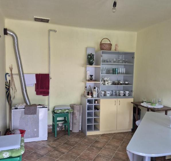 Somcuta Mare, casa 9 ari teren - 1