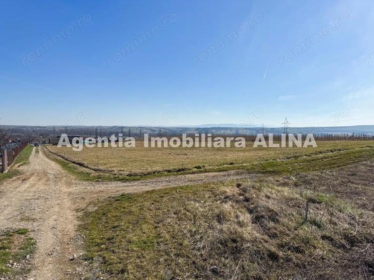 11 parcele de Teren intravilan de cate 680 mp fiecare, in Satul Cristur din Jud. HD. - 2