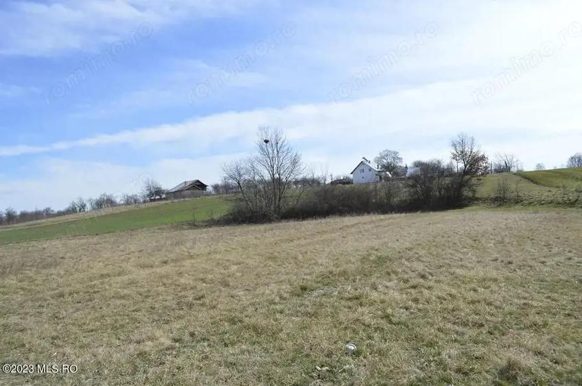 Suseni - Teren intravilan rezidential, suprafata 4000 mp - 5