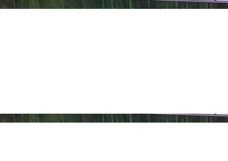 Teren intravilan Vaslui Strada Dimitrie Cantemir - 1