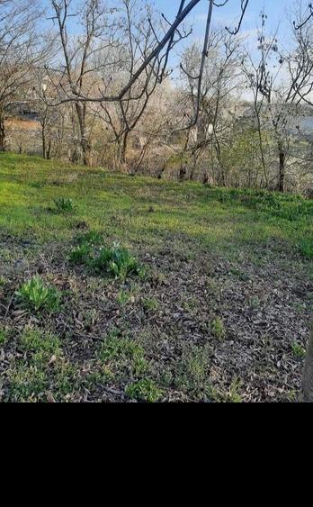 Intravilan 2200m - 6