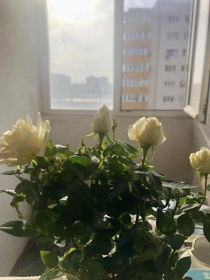 Garsoniera Cal Rahovei 13 Septembrie, bloc anvelopat, balcon, vis-a-vis de Liceul D. Bolintineanu - 5