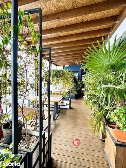 SE INCHIRIAZA Afacere la cheie, la SmartLife, in Falticeni, jud. SV - 3