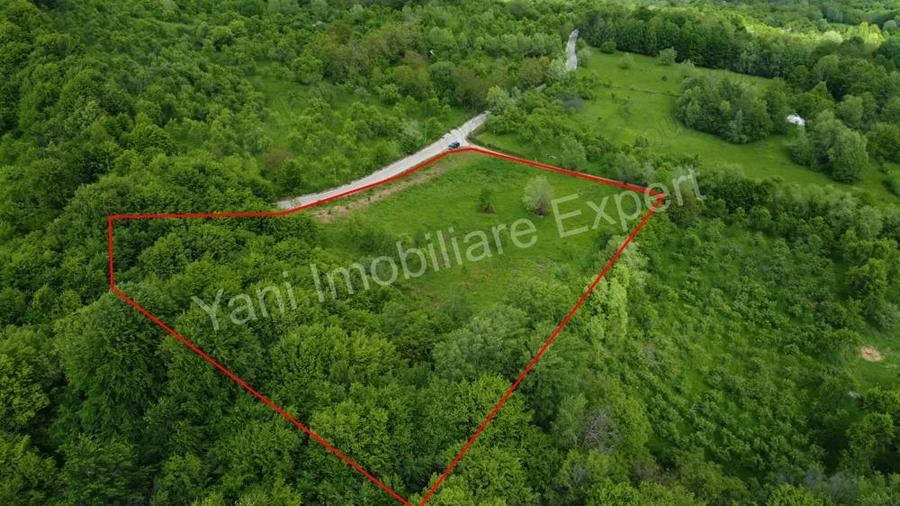 Teren de vanzare in comuna Corbi, jude? Arge?. - 13