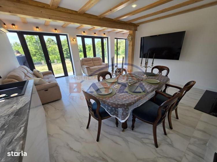 Casa superba P+E+M, teren 5.000 mp Viile Cicarlaului - 8