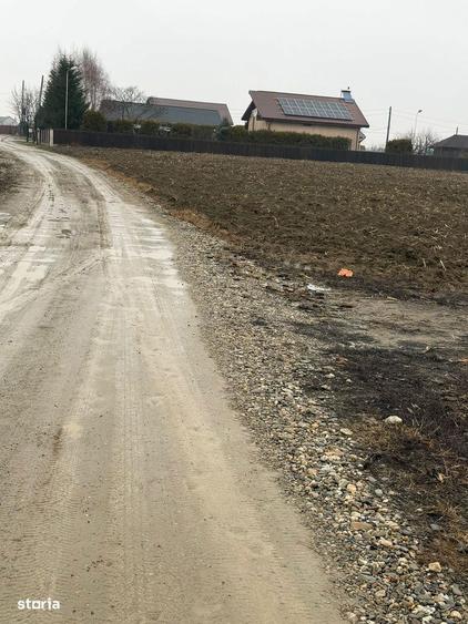 Vand Teren Hemeiusi sat Liliecipe strada prelungirea crinului - 8