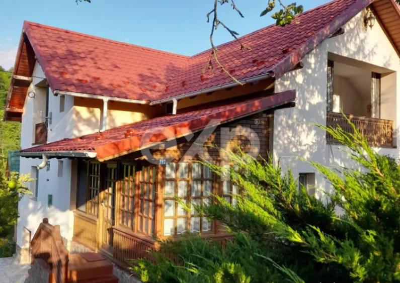 Casa la ?ara complet mobilata, 5.500 mp teren Topli? - 6