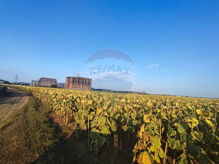 De Vanzare Teren cu Destinatie Rezidential | Berceni | Ocazie! - 3