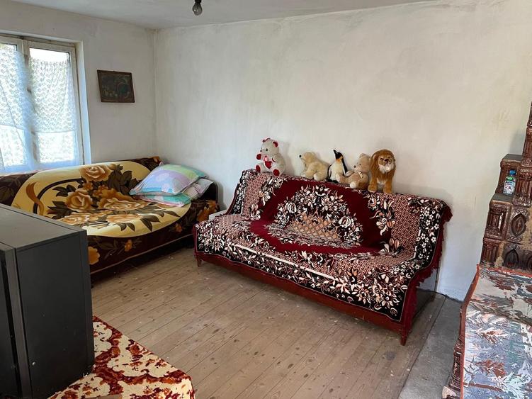 Casa de vanzare in comuna Dobroteasa - 3