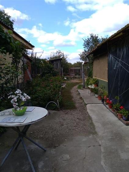 Reco Casa in Cefa  Centrala la 20km de Oradea - 7