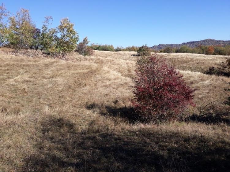 OFERTĂ SPECIALĂ! Teren intravilan de vânzare în Câmpina pe Dealul Muscel - 8