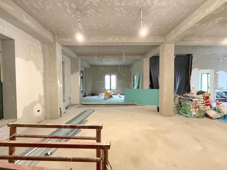 Clădire reprezentativă de închiriat, 560 mp utili, zona Complex, - 2