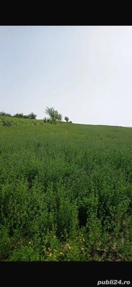 Vand teren intravilan - 2