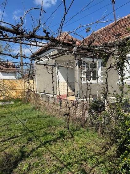 Casa/Teren de vanzare, Livada, jud. Arad - 4