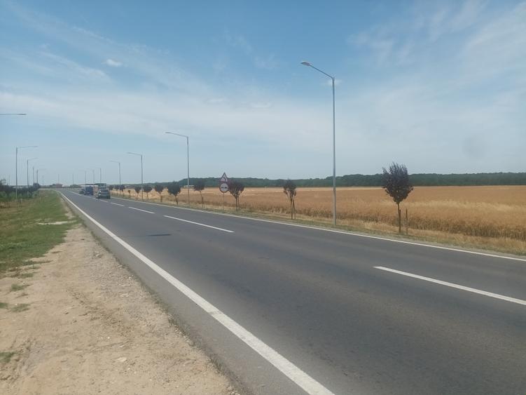 Teren Vanzare Intravilan Branesti - Investitie Zona Industriala Vis a Vis Makita - 18