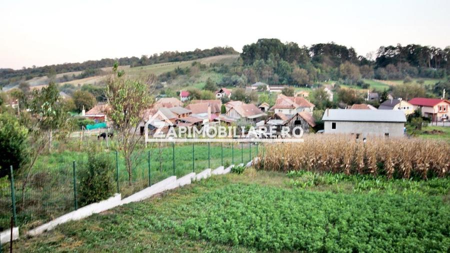 De vanzare 2 case cu 4.900 mp teren, Livezeni 0% comision - 2