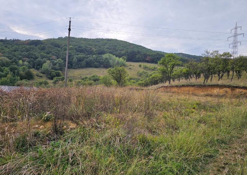 Teren exclusivist cu vedere panoramica - 2