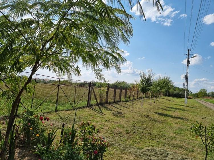 Vand teren intravilan - 1